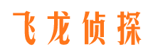 江苏市侦探调查公司